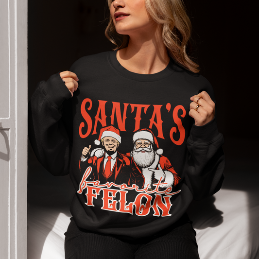 Santas Fav Felon